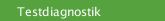 Testdiagnostik
