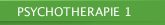 PSYCHOTHERAPIE 1